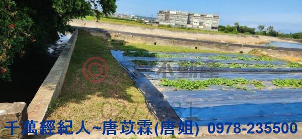 新竹湖口農地-4