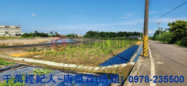 新竹湖口農地-5