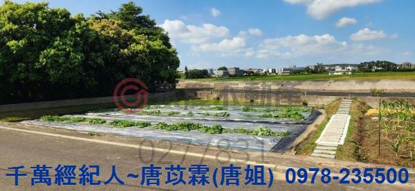 新竹湖口農地-6