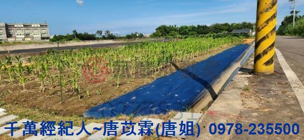 新竹湖口農地-7