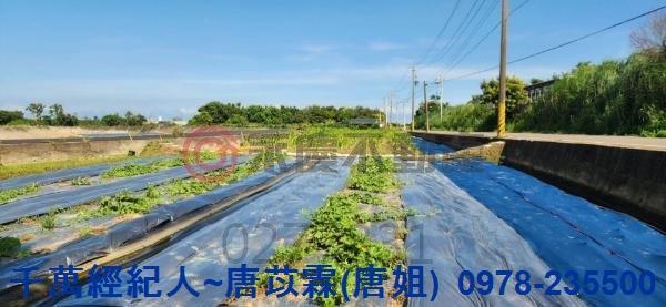 新竹湖口農地-8