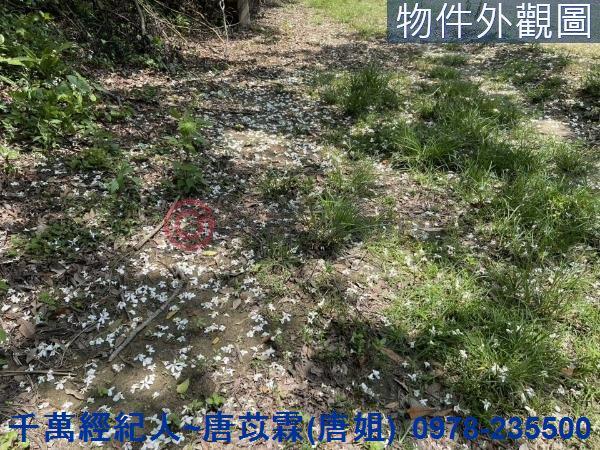 芎林農地-14