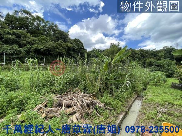 新竹橫山農地-3