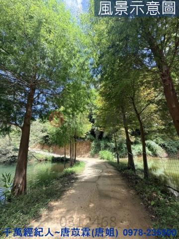 新竹寶山山坡地-5