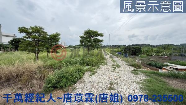 北區農地-7